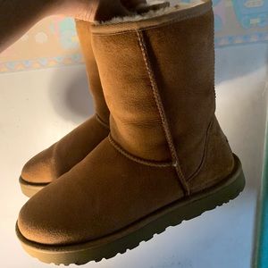 UGG by UGG Australia (lightly worn) in Chestnut